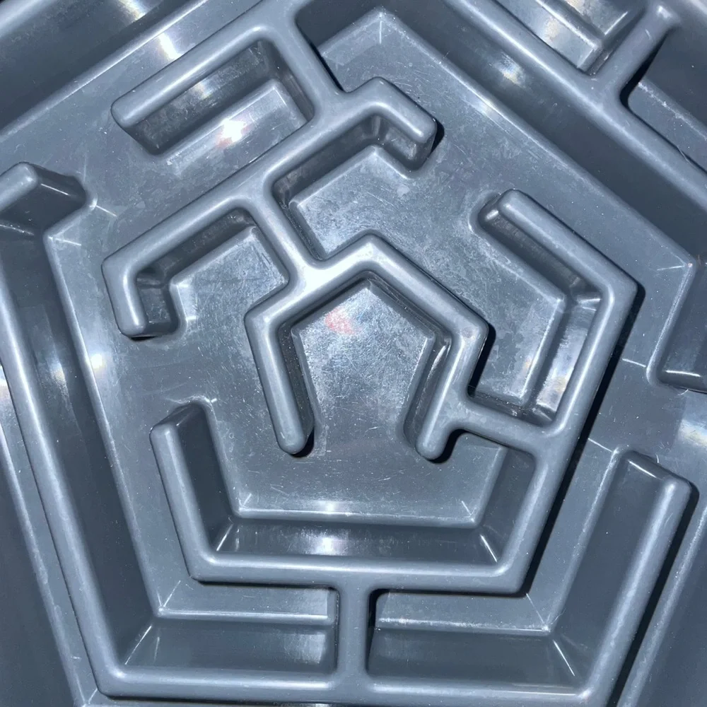 Boots & Barkley 4-cup Slow Eat Maze Dog’s Bowl/Tray